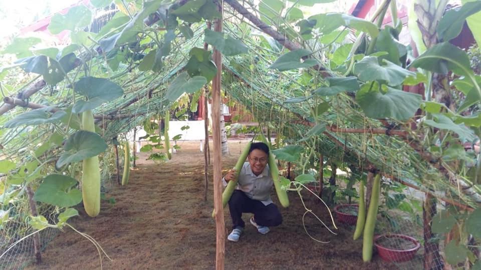 Coconut Homestay Mo Cay Nam Ben Tre Exterior photo