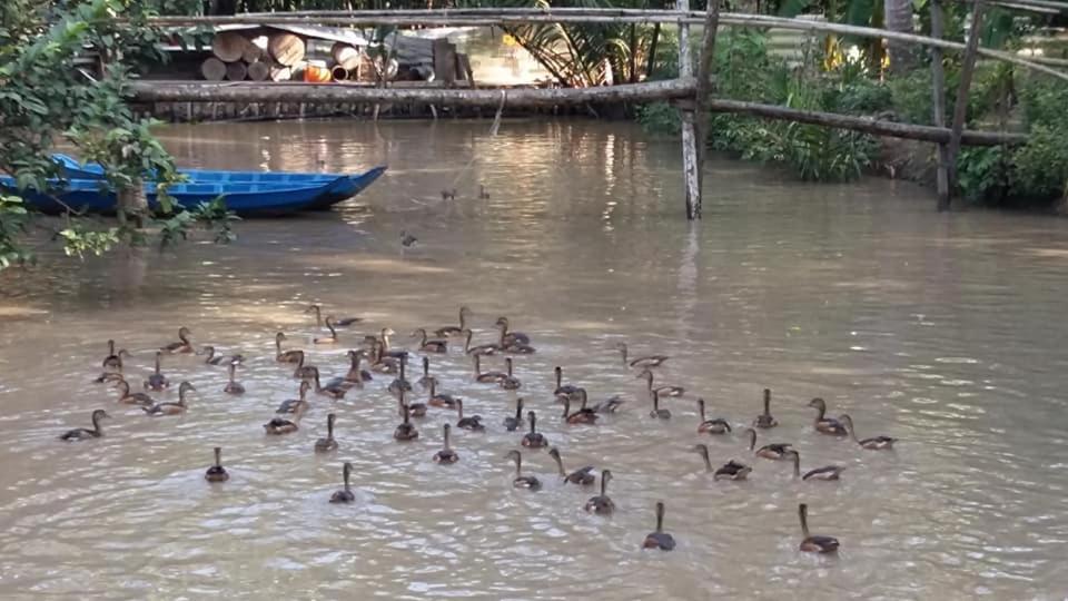 Coconut Homestay Mo Cay Nam Ben Tre Exterior photo