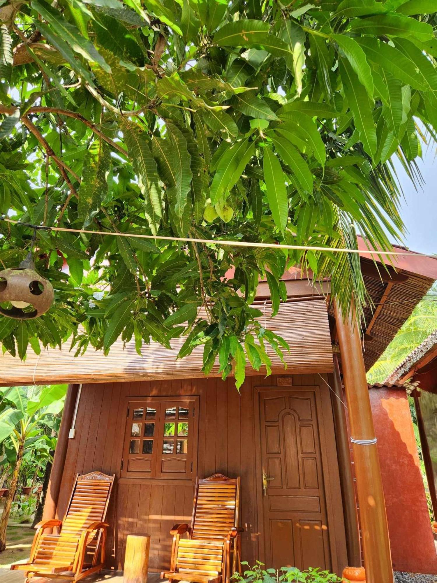 Coconut Homestay Mo Cay Nam Ben Tre Exterior photo