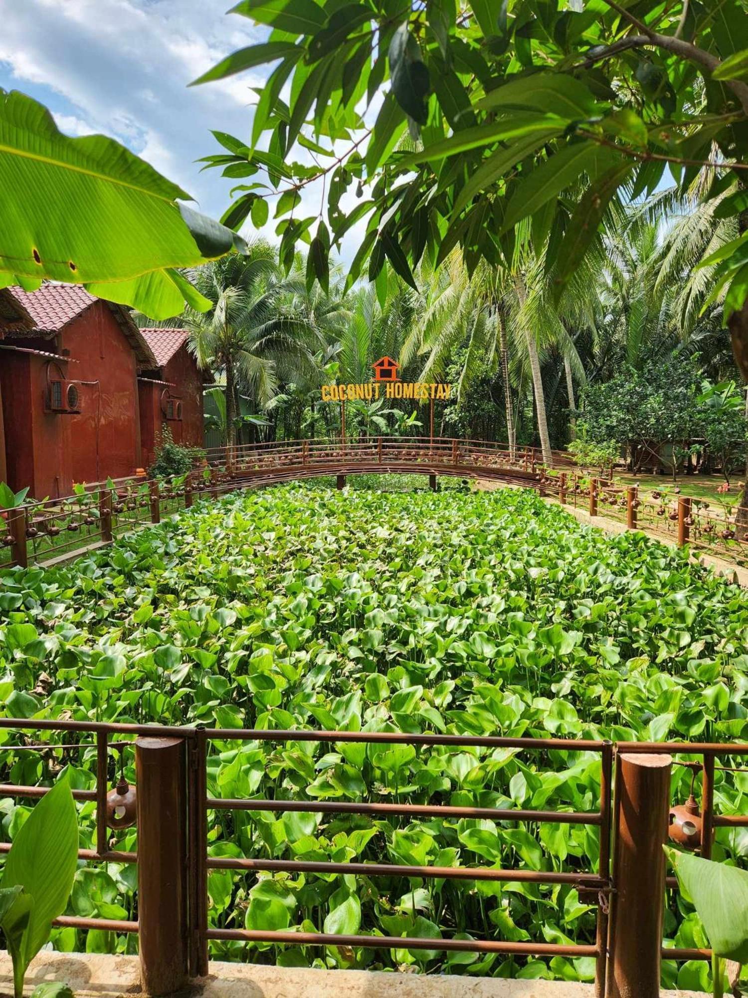 Coconut Homestay Mo Cay Nam Ben Tre Exterior photo