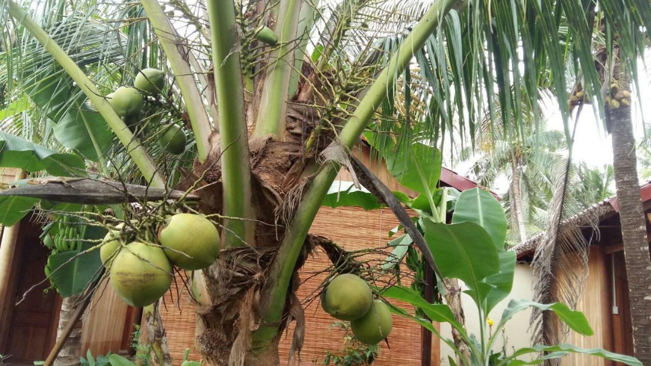 Coconut Homestay Mo Cay Nam Ben Tre Exterior photo