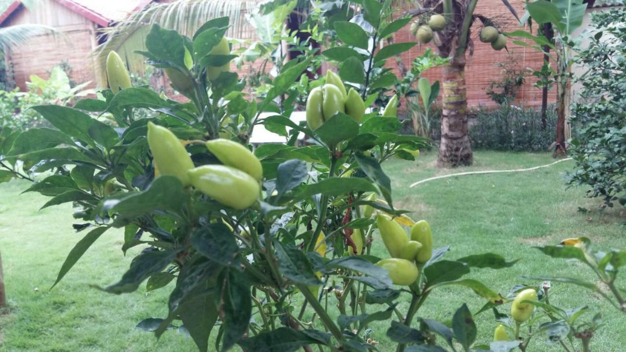 Coconut Homestay Mo Cay Nam Ben Tre Exterior photo