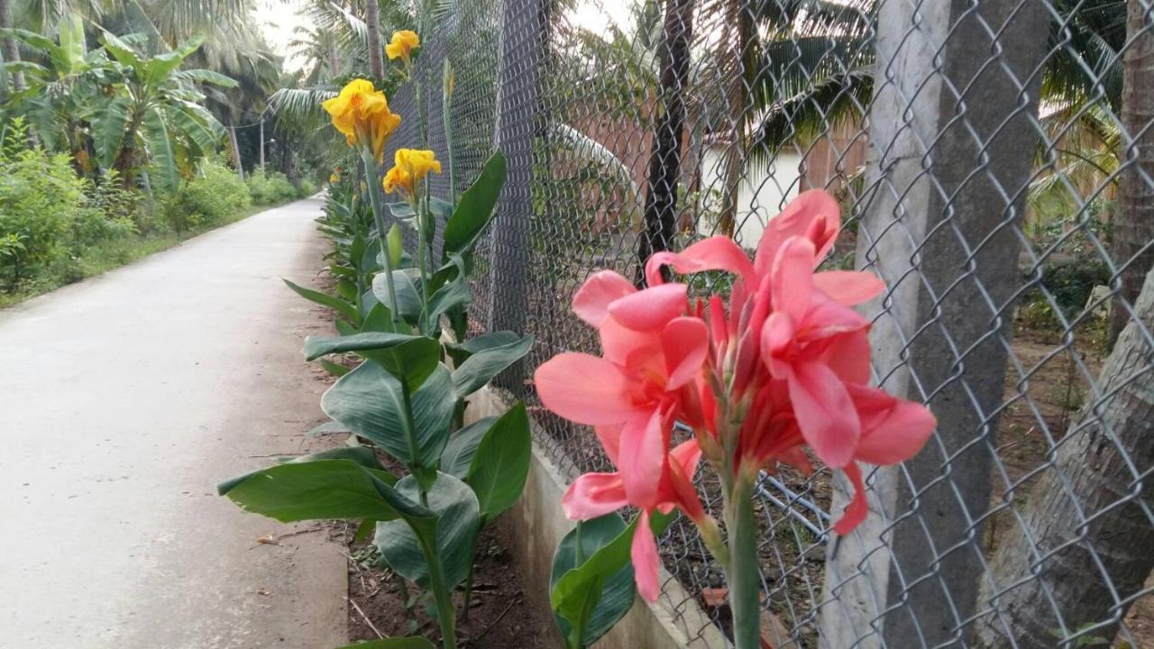 Coconut Homestay Mo Cay Nam Ben Tre Exterior photo